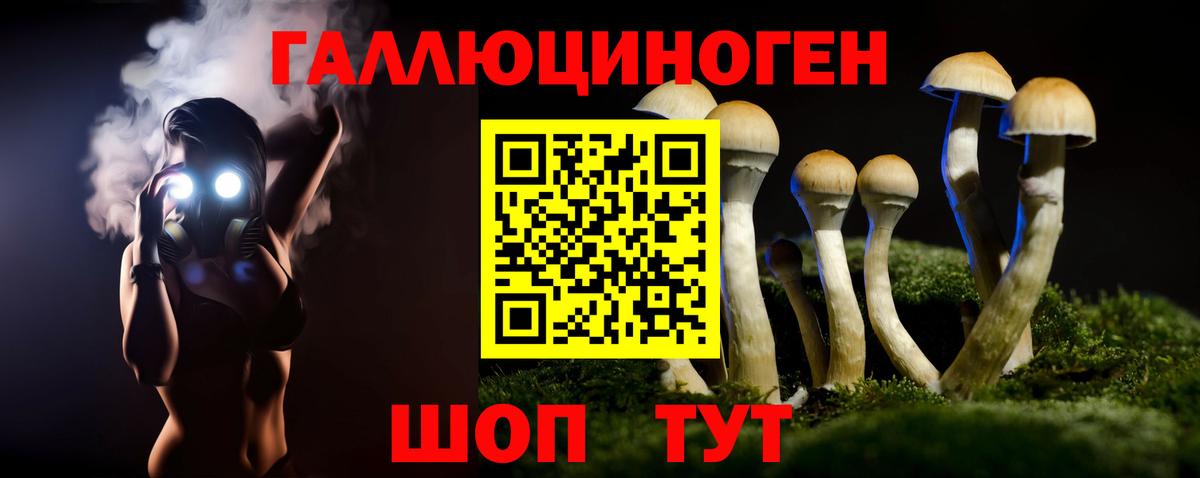 Псилоцибиновые грибы мицелий Калининград