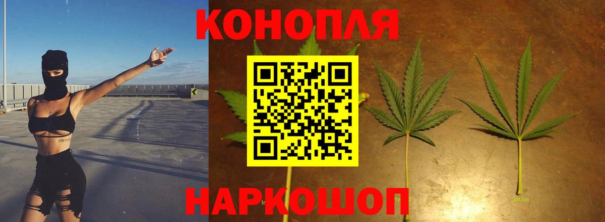 Канабис конопля Калининград